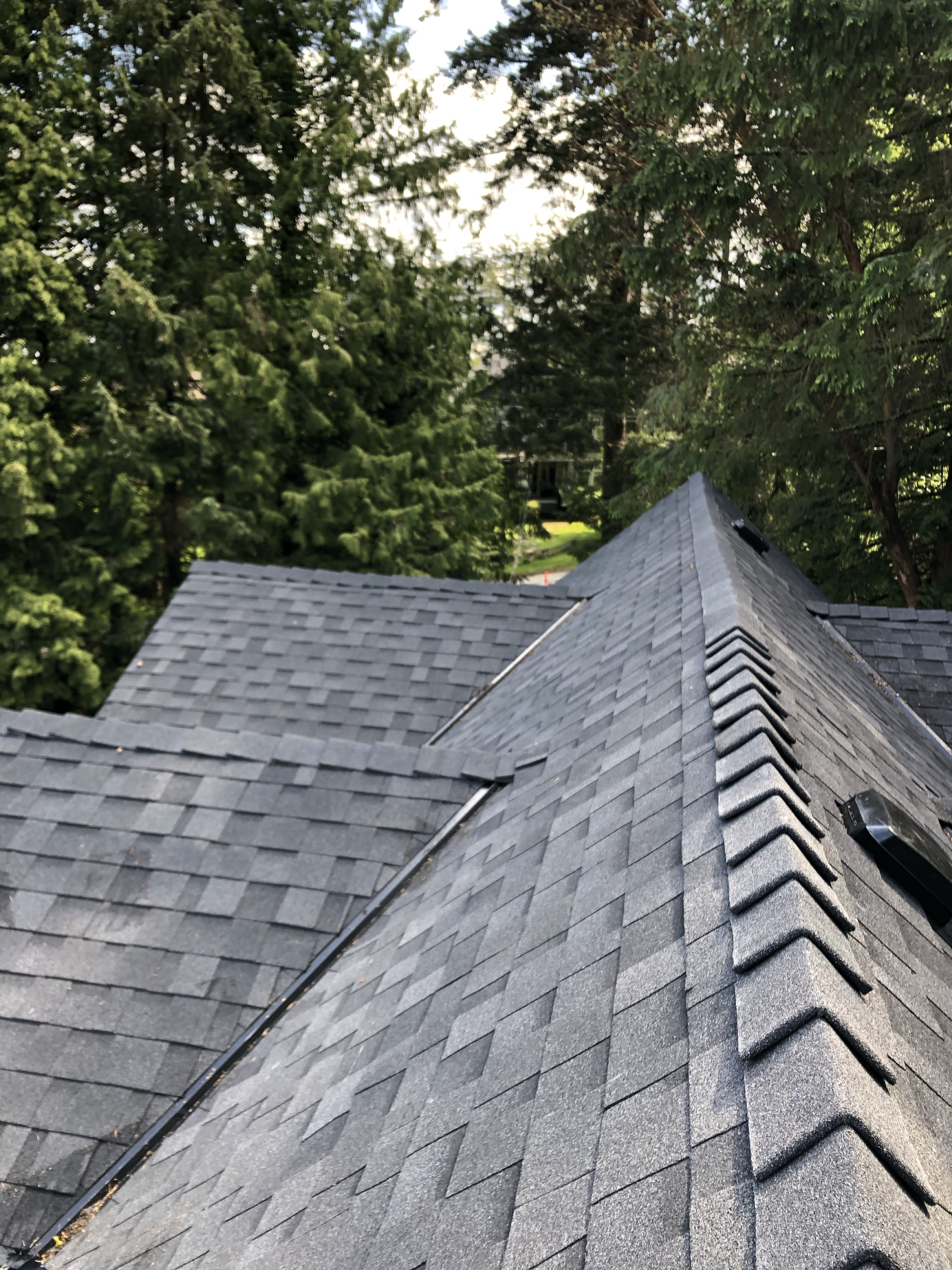 Roofing project